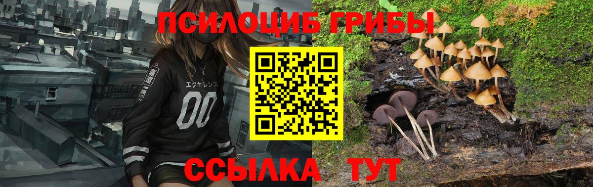 Псилоцибиновые грибы GOLDEN TEACHER Ейск